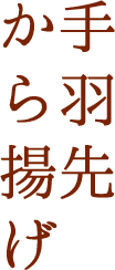 手羽先から揚げ